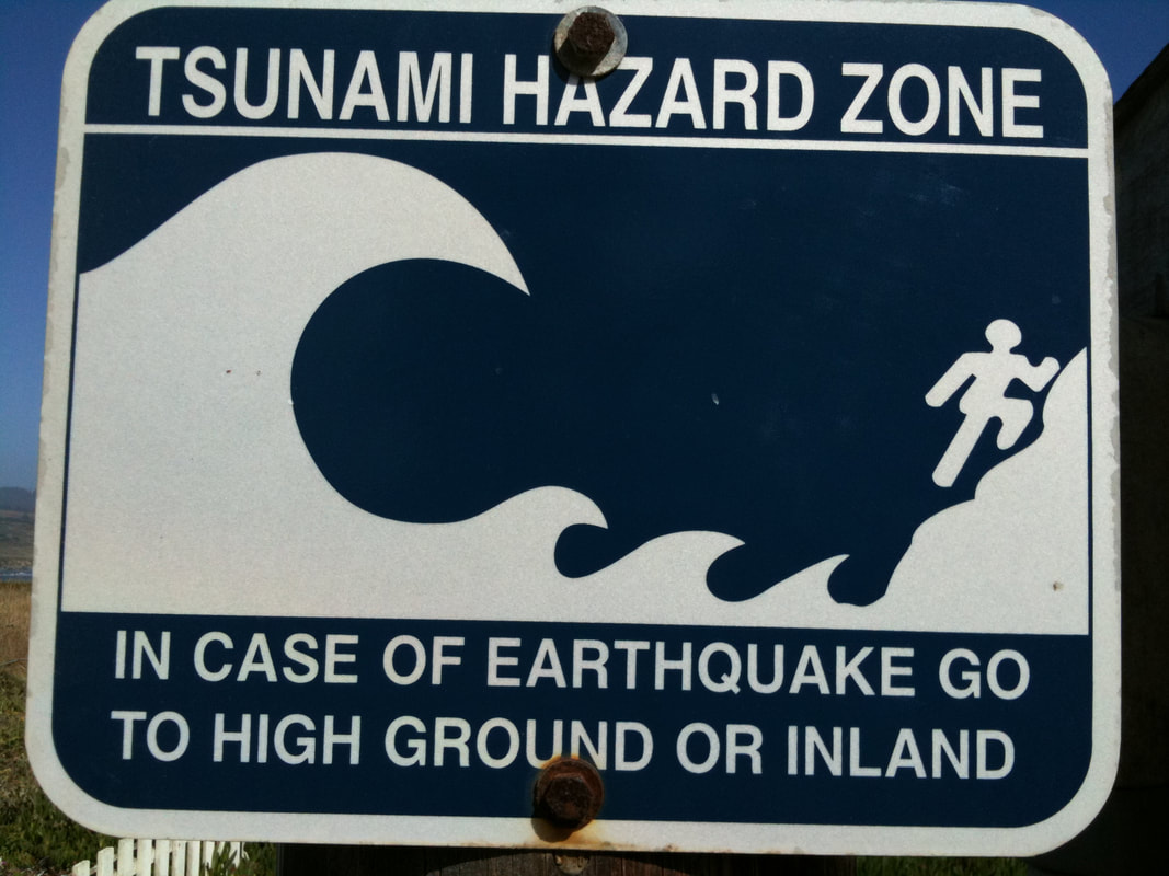 Earthquake preparedness - Colwood Langford Handyman